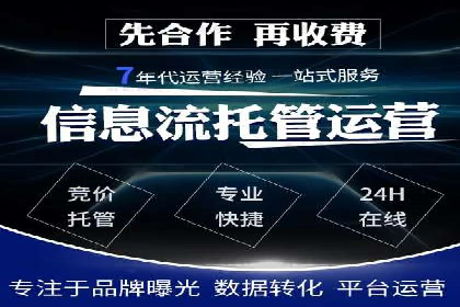 SEM竞价员的核心技能与成功案例解析